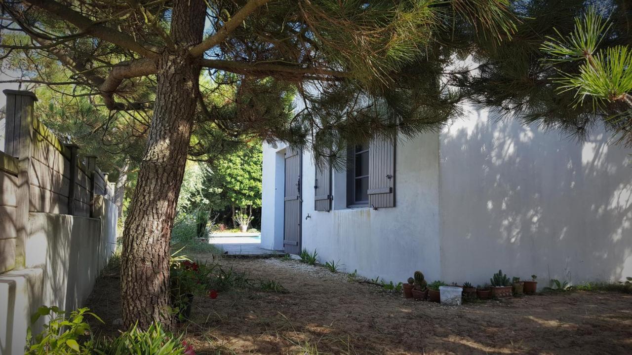 Sea-Snow Guest Houses Talmont-Saint-Hilaire 外观 照片
